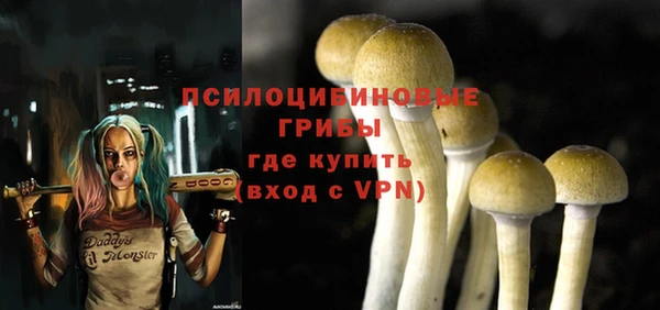 меф Новодвинск