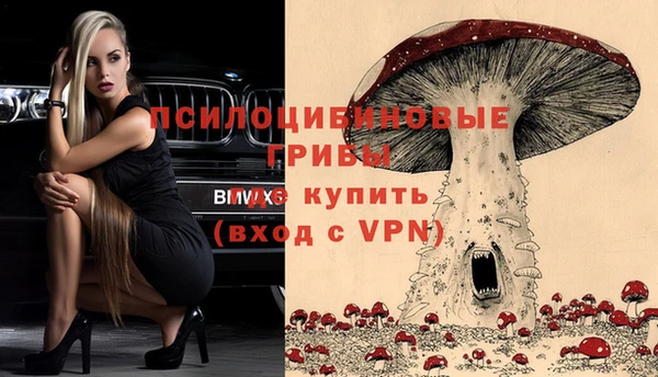 амф Болхов