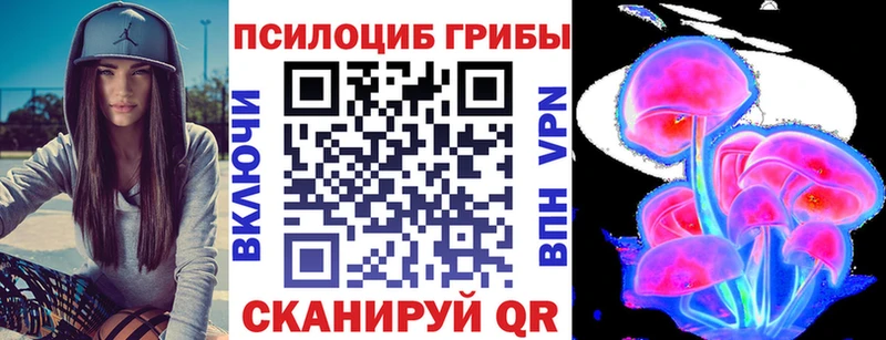 Галлюциногенные грибы Psilocybe blacksprut tor Красноармейск