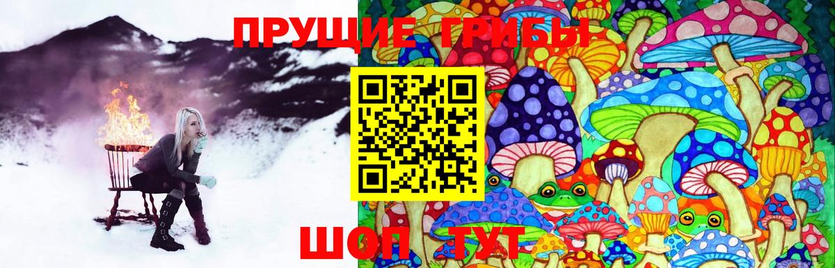 Красноармейск  Псилоцибиновые грибы Psilocybine cubensis  Вход с VPN 