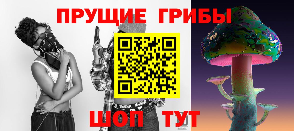 Галлюциногенные грибы Psilocybe  где купить наркотик  Красноармейск  Галлюциногенные грибы MAGIC MUSHROOMS 